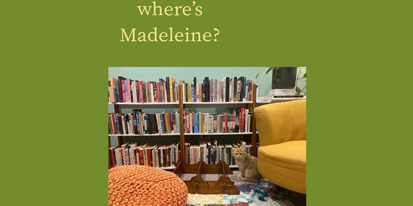 Where is Madeleine, orange cat hiding in plain sight