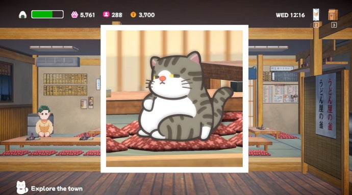 A photograph of a cat rubbing its belly in Neko Odyssey.