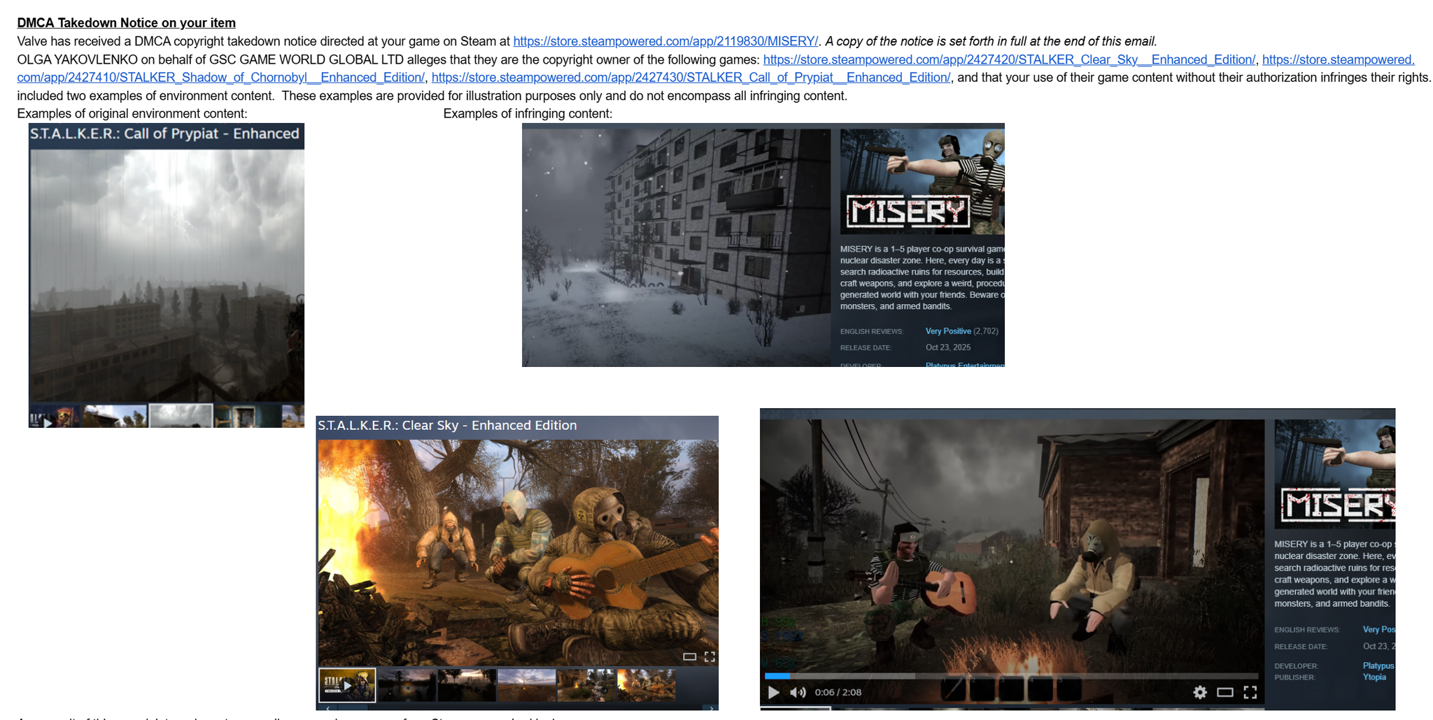 A screenshot of the DMCA takedown notice showing remarkably similar events