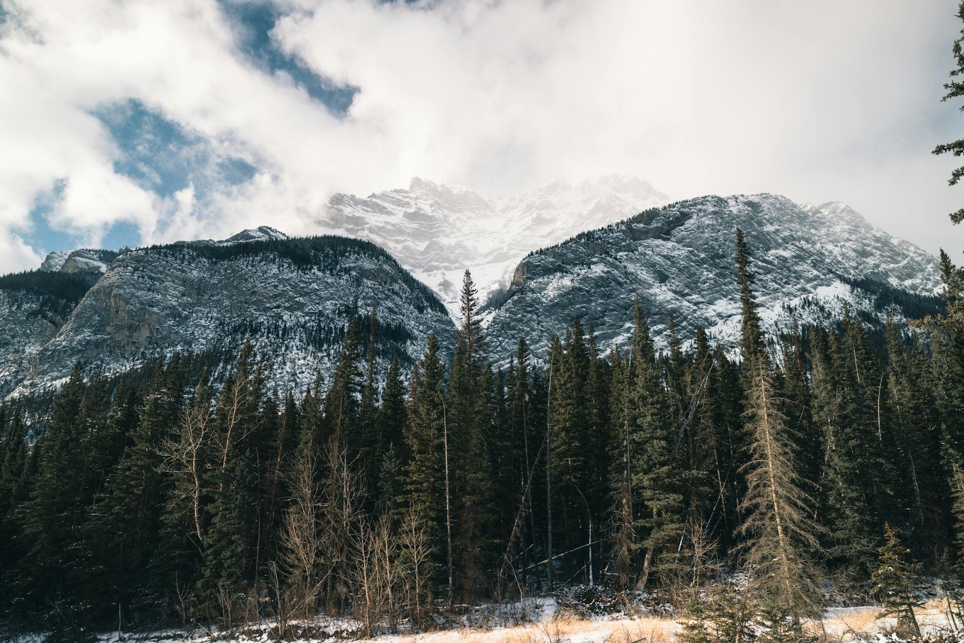 Mountain wilderness representing the vast hunting grounds and seamless world design of Monster Hunter Wilds